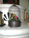 Singvogelautomat, antikes Finish, mit zwei singenden Vögeln im Käfig